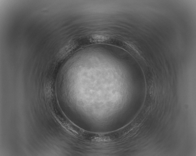 X0000057580455200509231256