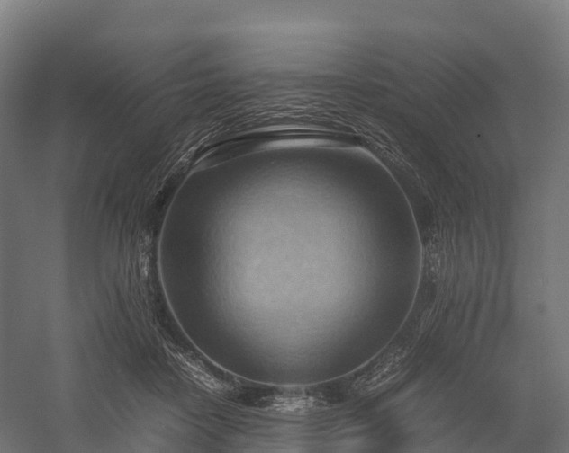 X0000057580458200509231256