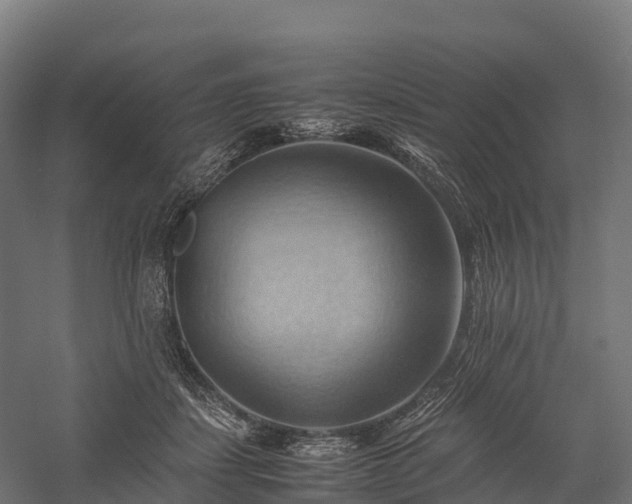 X0000057580459200509231256