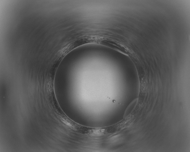 X0000057580474200509231256