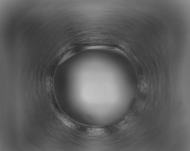 X0000057580476200509231256