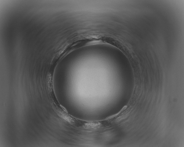 X0000057580480200509231256