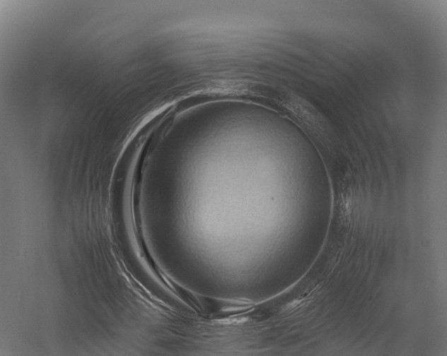 X0000057580484200509231255