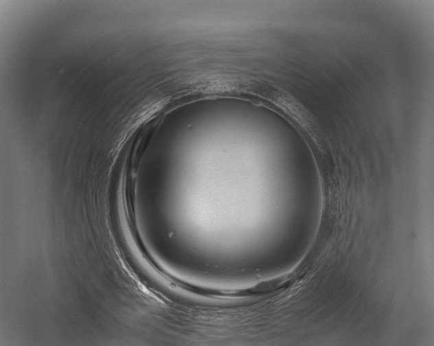 X0000057580485200509231255