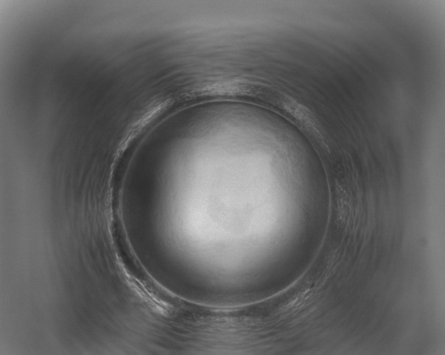 X0000057580486200509231255