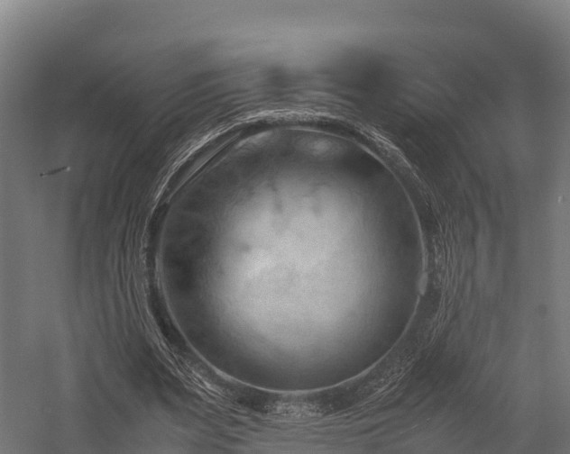 X0000057580487200509231255