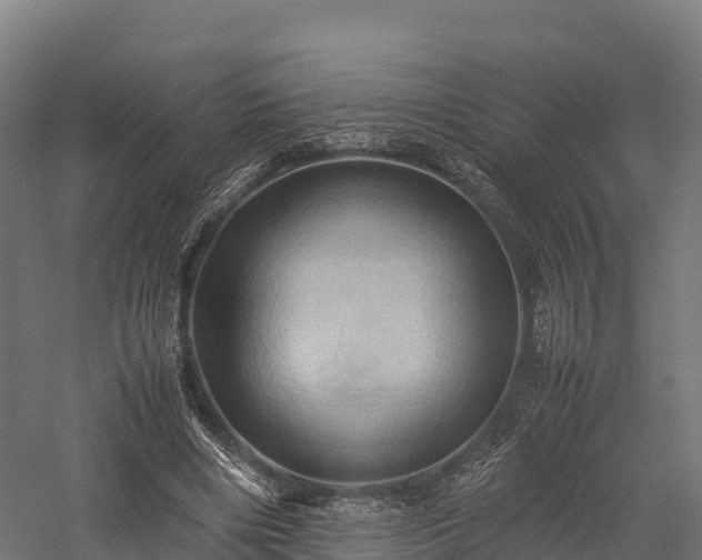 X0000057580490200509231255