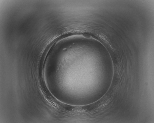 X0000057580491200509231255