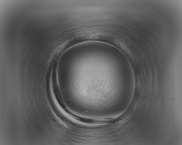 X0000057580493200509231255