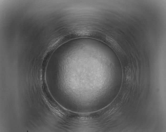 X0000057580494200509231255