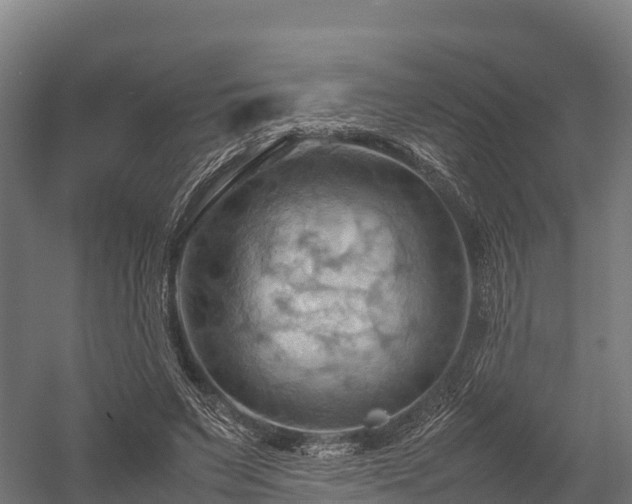 X0000057580495200509231255