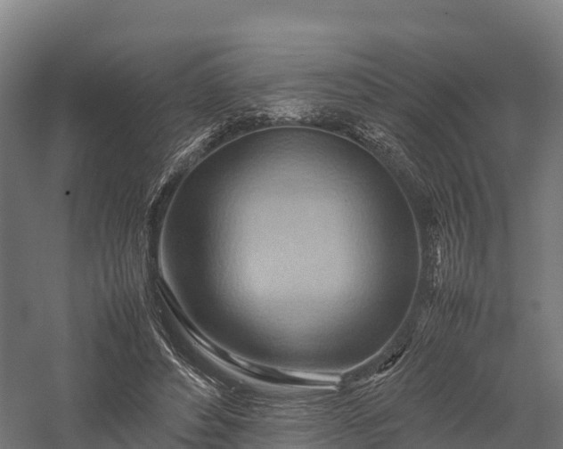 X0000057580496200509231255