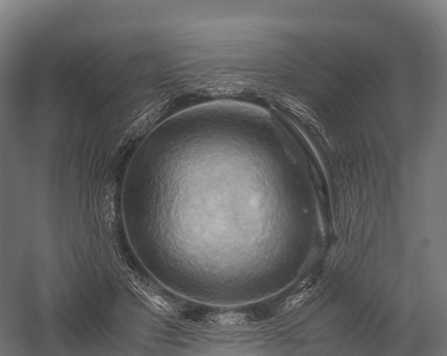 X0000057580501200509231255