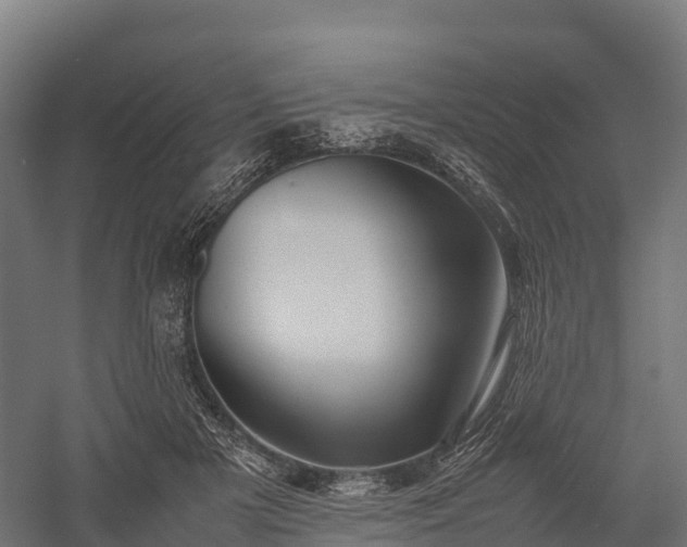 X0000057580505200509231255