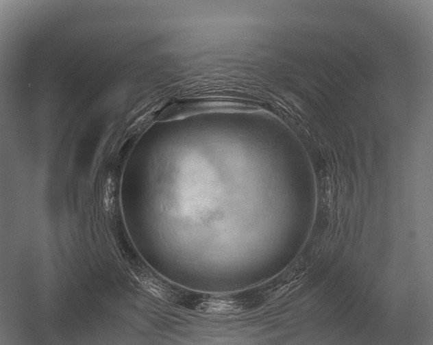 X0000057580507200509231255