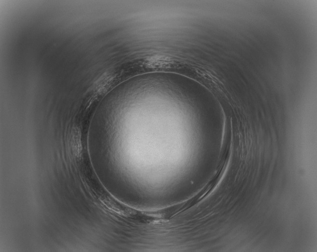 X0000057580508200509231255