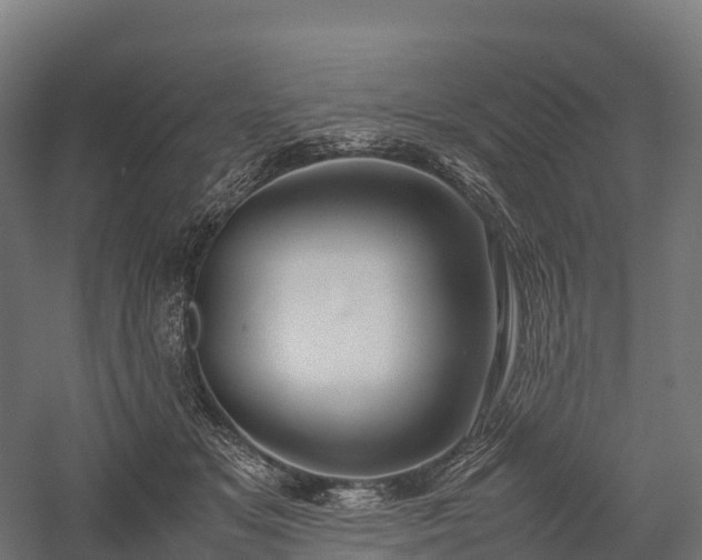 X0000057580509200509231255