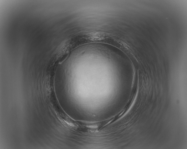 X0000057580512200509231255