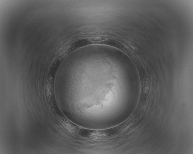 X0000057580515200509231255