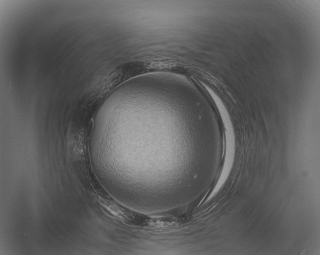 X0000057580517200509231255