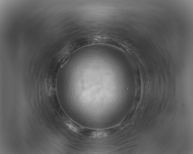 X0000057580520200509231255