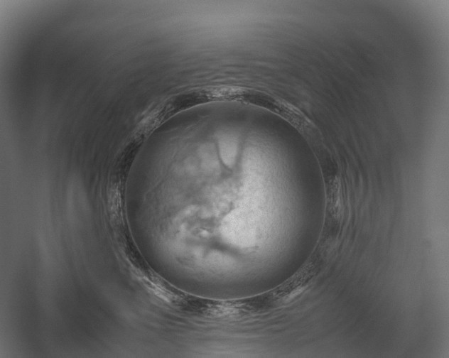 X0000057580523200509231255