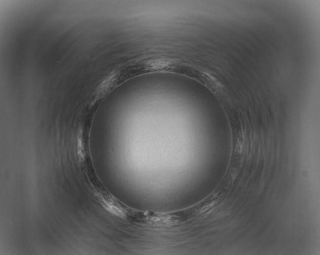 X0000057580524200509231255