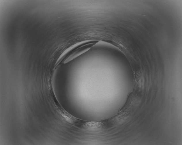 X0000057580526200509231255