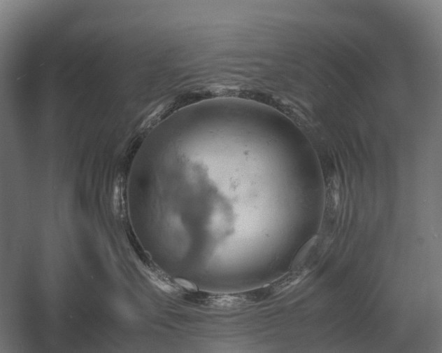 X0000057580527200509231255