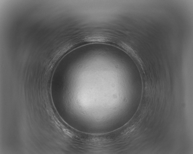 X0000057580529200509231254