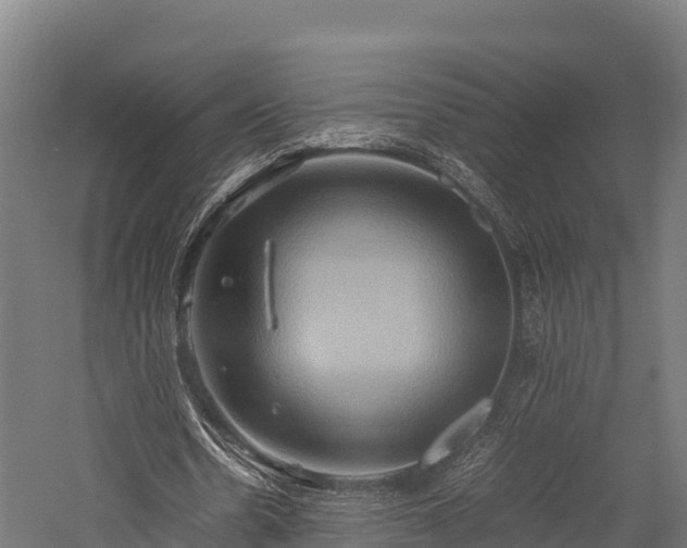 X0000057580530200509231254