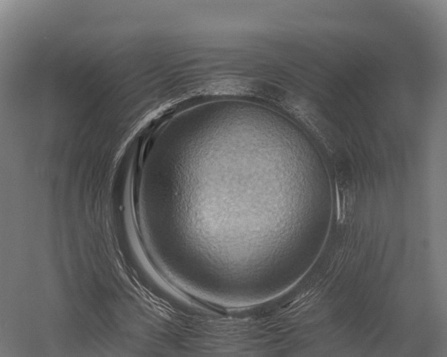 X0000057580531200509231254