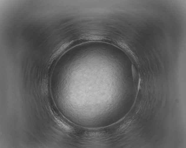 X0000057580533200509231254