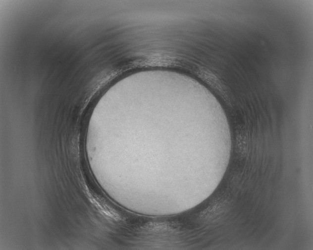 X0000057580534200509231254