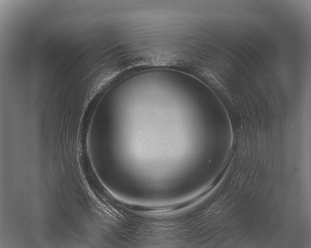 X0000057580536200509231254