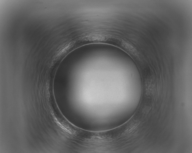 X0000057580538200509231254