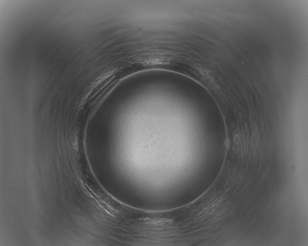 X0000057580539200509231254