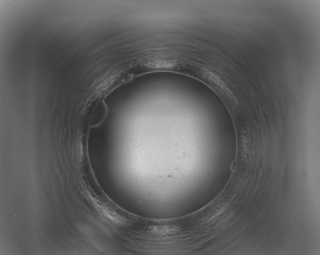 X0000057580541200509231254