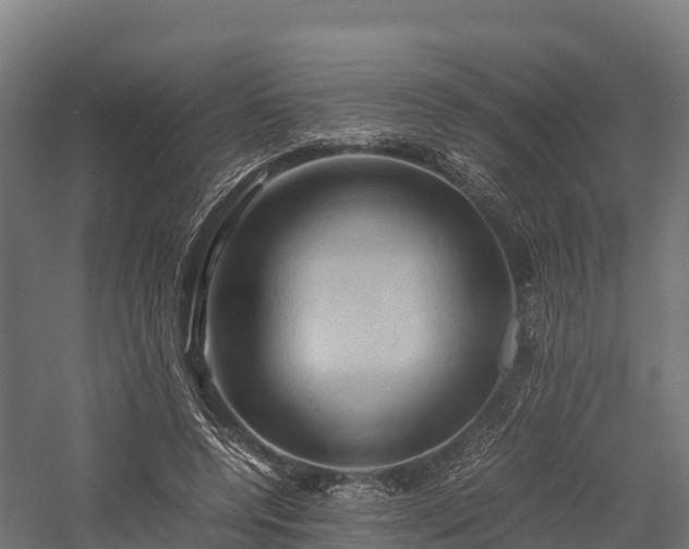 X0000057580544200509231254