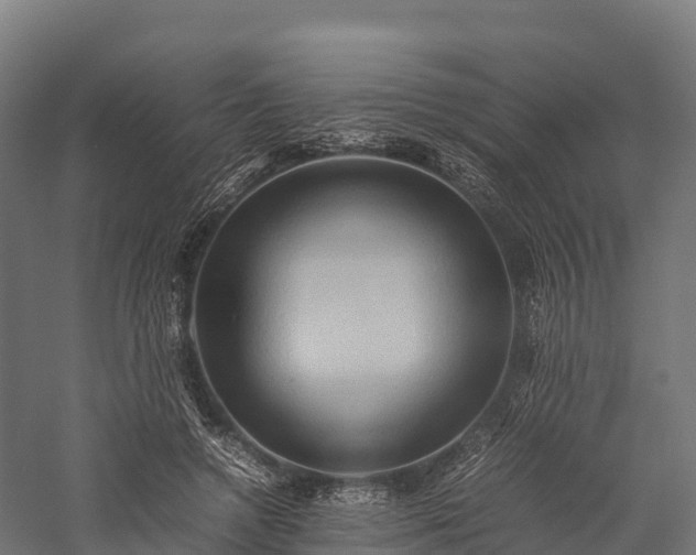 X0000057580546200509231254