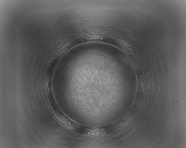 X0000057580550200509231254