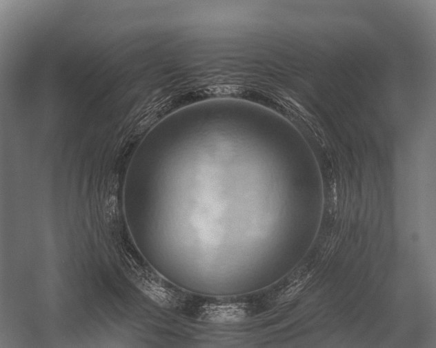 X0000057580553200509231254