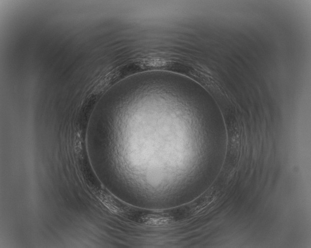 X0000057580555200509231254