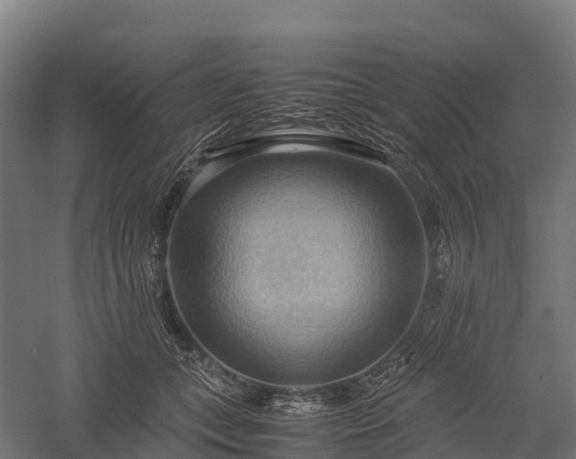 X0000057580559200509231254