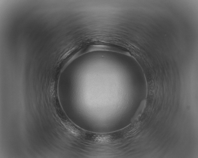 X0000057580560200509231254