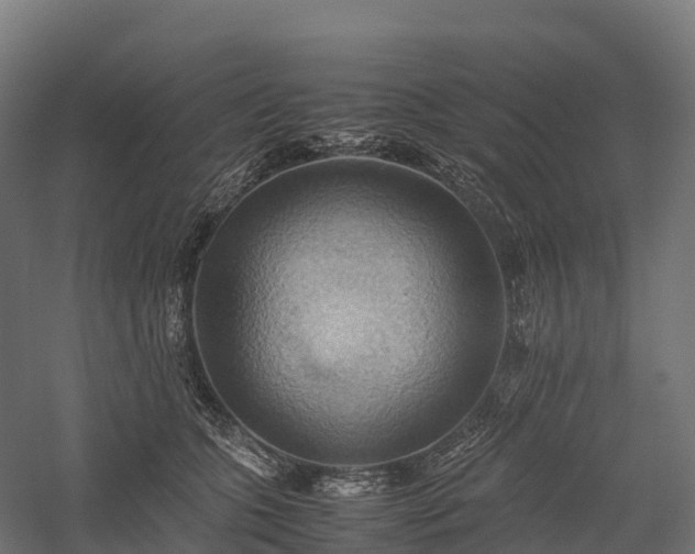 X0000057580563200509231254