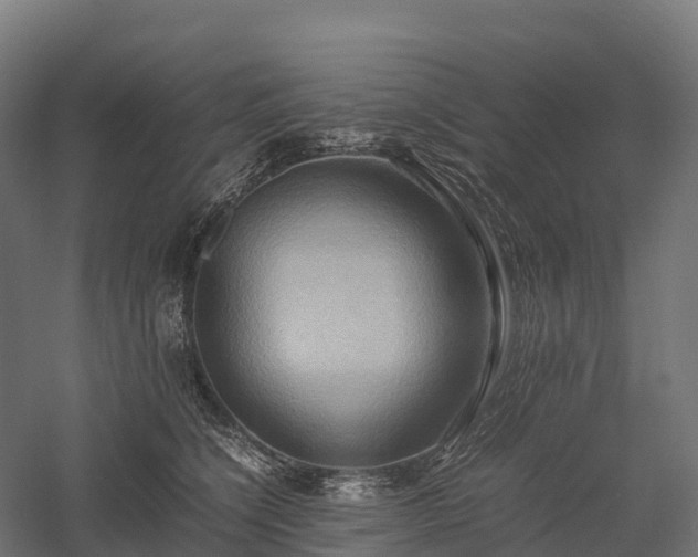 X0000057580564200509231255