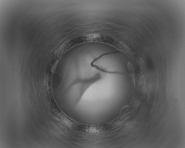 X0000057580565200509231255