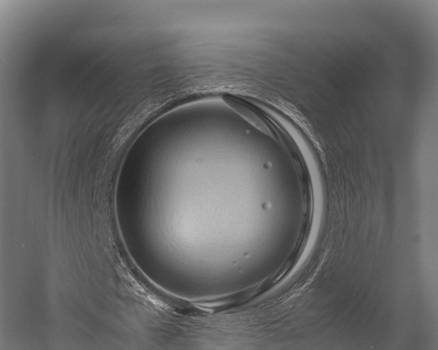 X0000057580577200509231254