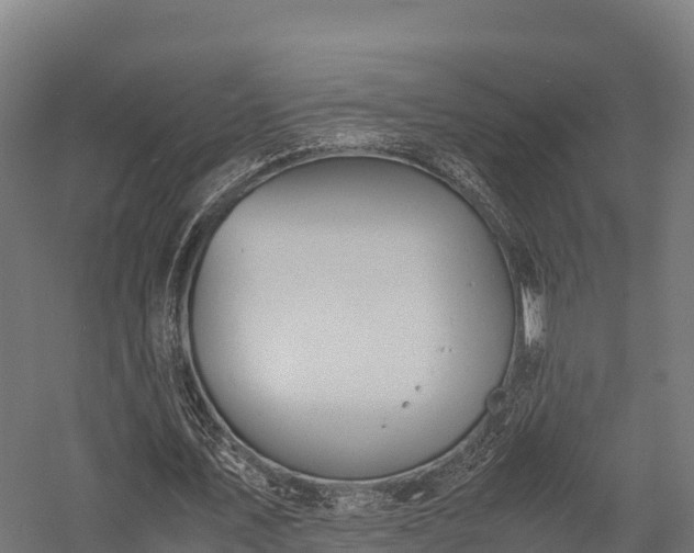 X0000057580579200509231254